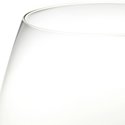 Riedel 'O' Series Pinot Wine Glass 2pc