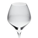 Riedel Vitis Pinot Noir Wine Glass 2pc