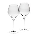 Riedel Vitis Pinot Noir Wine Glass 2pc