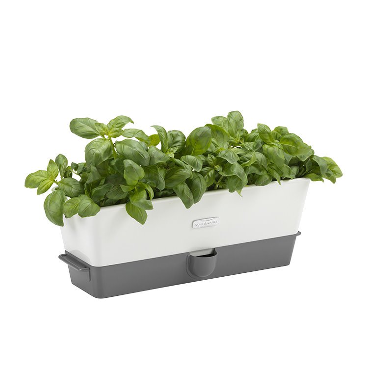 Cole & Mason Self Watering Herb Keeper Triple - Fast Shipping