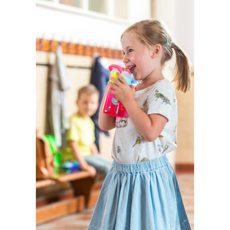 Gizmo best free image viewer boosterstashok