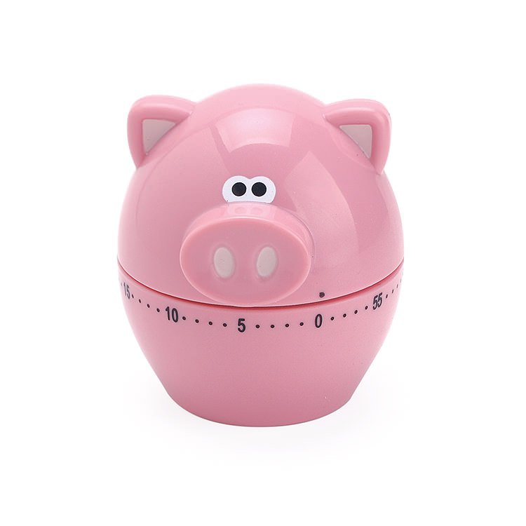 Msc Piggy Wiggy 60 Minute Timer 12 95 Msc Piggy Wiggy 60 Minute Timer 12 95