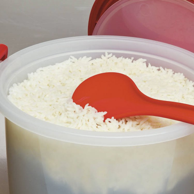 Prep Solutions Rice and Pasta Cooker Kitchen Warehouse™